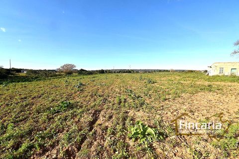 Landejendom i Manacor, Mallorca, Manacor - € 225.000 | Ref: FM-2066 - foto 21