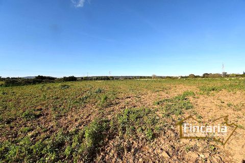 Landejendom i Manacor, Mallorca, Manacor - € 225.000 | Ref: FM-2066 - foto 22