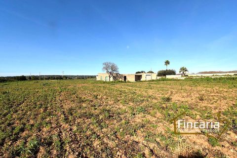 Landejendom i Manacor, Mallorca, Manacor - € 225.000 | Ref: FM-2066 - foto 23