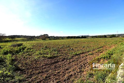 Landejendom i Manacor, Mallorca, Manacor - € 225.000 | Ref: FM-2066 - foto 24