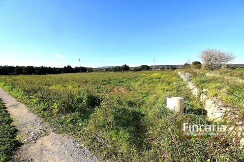 Landejendom i Manacor, Mallorca, Manacor - € 225.000 | Ref: FM-2066 - foto 25