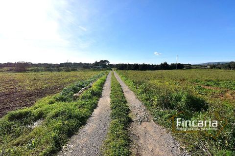 Landejendom i Manacor, Mallorca, Manacor - € 225.000 | Ref: FM-2066 - foto 26