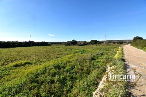 Landejendom i Manacor, Mallorca, Manacor - € 225.000 | Ref: FM-2066 - foto 28