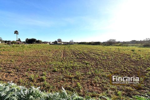 Landejendom i Manacor, Mallorca, Manacor - € 225.000 | Ref: FM-2066 - foto 30