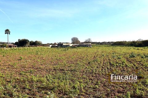 Landejendom i Manacor, Mallorca, Manacor - € 225.000 | Ref: FM-2066 - foto 31