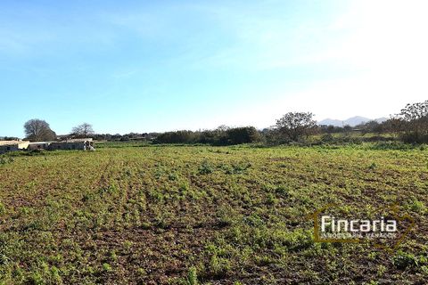 Landejendom i Manacor, Mallorca, Manacor - € 225.000 | Ref: FM-2066 - foto 32