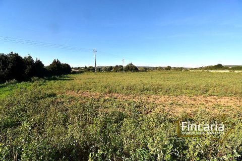 Landejendom i Manacor, Mallorca, Manacor - € 225.000 | Ref: FM-2066 - foto 33