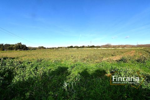 Landejendom i Manacor, Mallorca, Manacor - € 225.000 | Ref: FM-2066 - foto 34