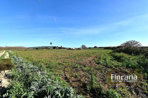 Landejendom i Manacor, Mallorca, Manacor - € 225.000 | Ref: FM-2066 - foto 35