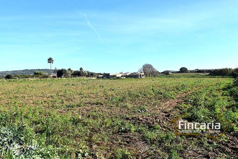 Landejendom i Manacor, Mallorca, Manacor - € 225.000 | Ref: FM-2066 - foto 36