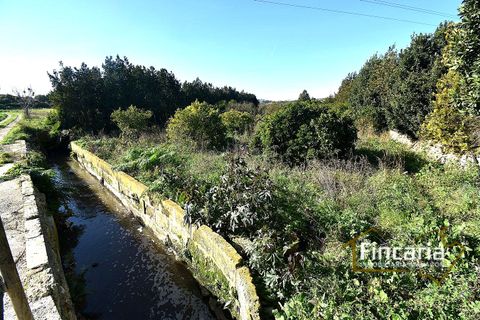 Landejendom i Manacor, Mallorca, Manacor - € 225.000 | Ref: FM-2066 - foto 37