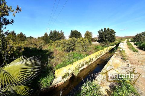 Landejendom i Manacor, Mallorca, Manacor - € 225.000 | Ref: FM-2066 - foto 38
