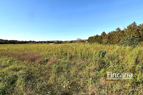 Landejendom i Manacor, Mallorca, Manacor - € 225.000 | Ref: FM-2066 - foto 39