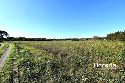 Landejendom i Manacor, Mallorca, Manacor - € 225.000 | Ref: FM-2066 - foto 40