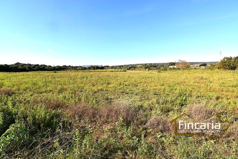 Landejendom i Manacor, Mallorca, Manacor - € 225.000 | Ref: FM-2066 - foto 41