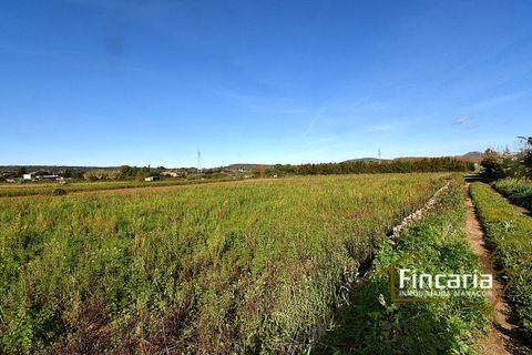 Landejendom i Manacor, Mallorca, Manacor - € 225.000 | Ref: FM-2066 - foto 45