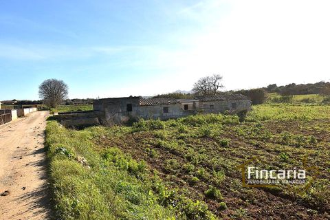 Landejendom i Manacor, Mallorca, Manacor - € 225.000 | Ref: FM-2066 - foto 46