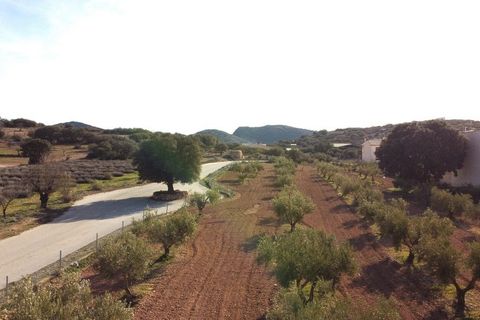 Landejendom i Chirivel, Almeria, Chirivel - € 299.999 | Ref: v3047 - foto 6