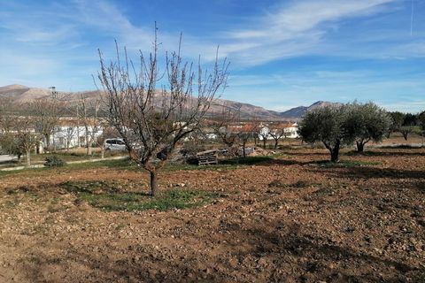 Landejendom i Chirivel, Almeria, Chirivel - € 299.999 | Ref: v3047 - foto 38