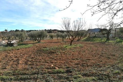 Landejendom i Chirivel, Almeria, Chirivel - € 299.999 | Ref: v3047 - foto 39