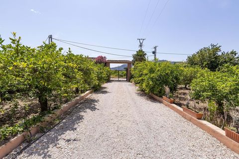 Villa i Murcia, Murcia, Murcia - € 790.000 | Ref: 1RE1104 - foto 29