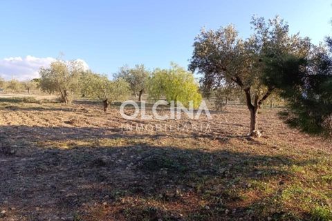 Landejendom i Onil, Alicante, Onil - € 123.500 | Ref: 602/6818 - foto 7