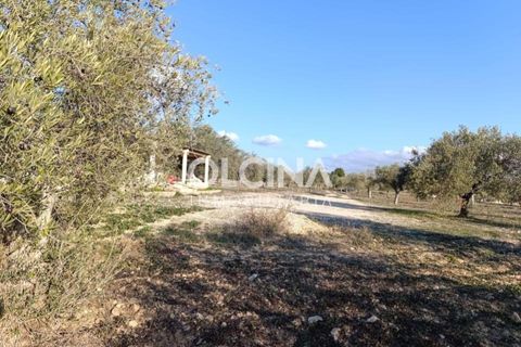 Landejendom i Onil, Alicante, Onil - € 123.500 | Ref: 602/6818 - foto 8