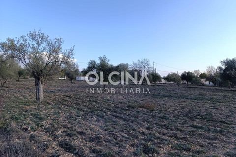 Landejendom i Onil, Alicante, Onil - € 123.500 | Ref: 602/6818 - foto 9