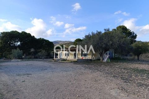 Landejendom i Onil, Alicante, Onil - € 123.500 | Ref: 602/6818 - foto 10