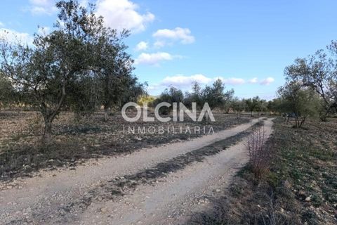 Landejendom i Onil, Alicante, Onil - € 123.500 | Ref: 602/6818 - foto 11