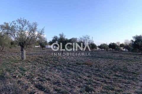 Landejendom i Onil, Alicante, Onil - € 123.500 | Ref: 602/6818 - foto 12