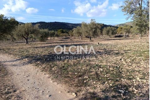 Landejendom i Onil, Alicante, Onil - € 123.500 | Ref: 602/6818 - foto 13