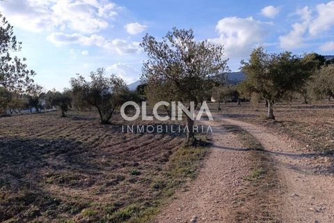 Landejendom i Onil, Alicante, Onil - € 123.500 | Ref: 602/6818 - foto 15