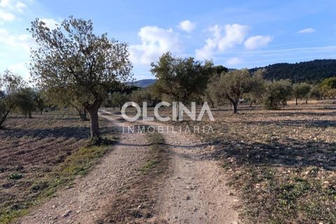 Landejendom i Onil, Alicante, Onil - € 123.500 | Ref: 602/6818 - foto 16