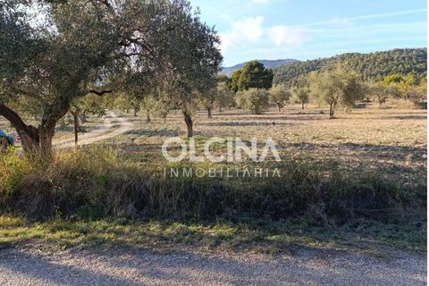 Landejendom i Onil, Alicante, Onil - € 123.500 | Ref: 602/6818 - foto 17