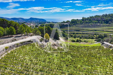 Finca i Moraira, Alicante, Moraira - € 3.500.000 | Ref: VMR4046 - foto 5