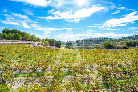 Finca i Moraira, Alicante, Moraira - € 3.500.000 | Ref: VMR4046 - foto 9