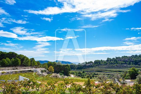 Finca i Moraira, Alicante, Moraira - € 3.500.000 | Ref: VMR4046 - foto 10