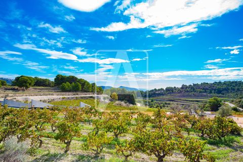 Finca i Moraira, Alicante, Moraira - € 3.500.000 | Ref: VMR4046 - foto 11