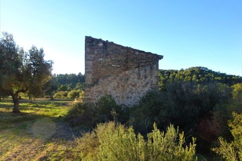 Finca i Maella, Zaragoza, Maella - € 49 000 | Ref: 1087 - foto 7