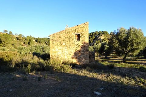Finca i Maella, Zaragoza, Maella - € 49 000 | Ref: 1087 - foto 15