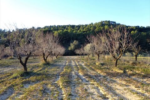 Finca i Maella, Zaragoza, Maella - € 49 000 | Ref: 1087 - foto 33