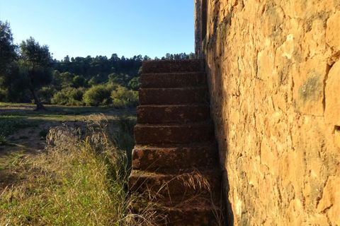 Finca i Maella, Zaragoza, Maella - € 49 000 | Ref: 1087 - foto 10