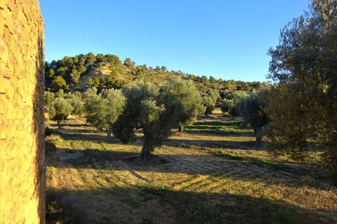 Finca i Maella, Zaragoza, Maella - € 49 000 | Ref: 1087 - foto 13