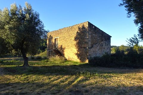 Finca i Maella, Zaragoza, Maella - € 49 000 | Ref: 1087 - foto 6