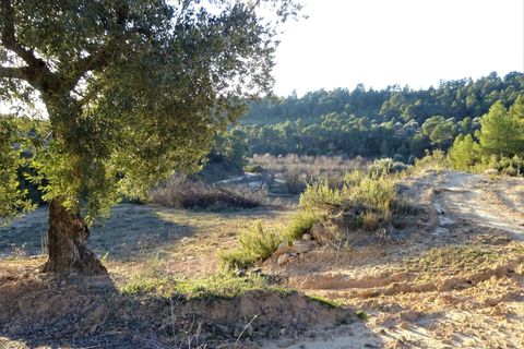 Finca i Maella, Zaragoza, Maella - € 49 000 | Ref: 1087 - foto 30