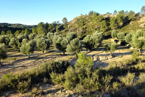 Finca i Maella, Zaragoza, Maella - € 49 000 | Ref: 1087 - foto 24