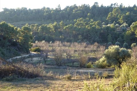 Finca i Maella, Zaragoza, Maella - € 49 000 | Ref: 1087 - foto 31