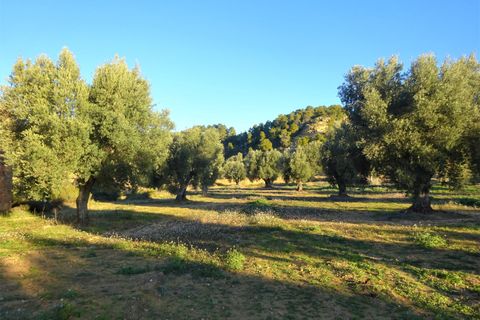 Finca i Maella, Zaragoza, Maella - € 49 000 | Ref: 1087 - foto 22