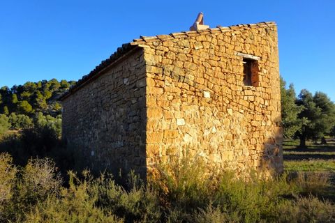 Finca i Maella, Zaragoza, Maella - € 49 000 | Ref: 1087 - foto 16